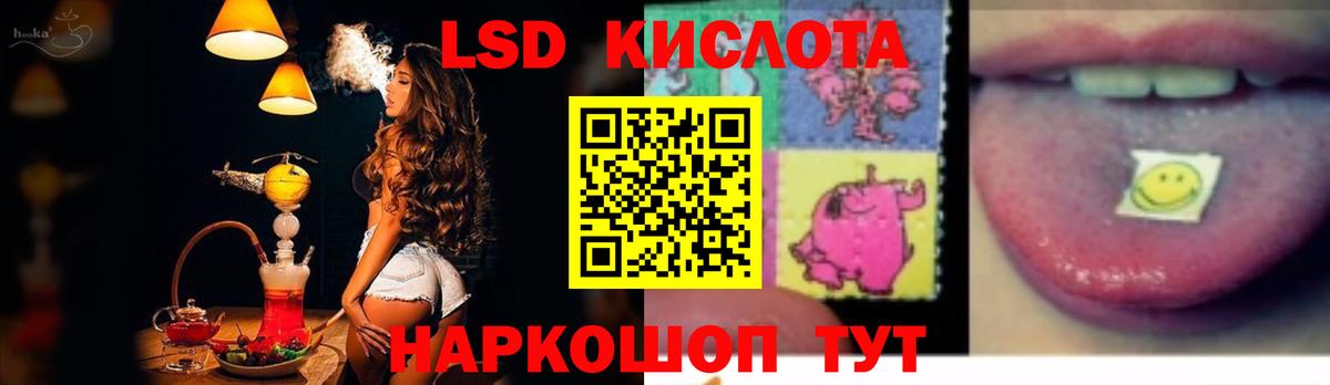 Псилоцибиновые грибы Ставрополь