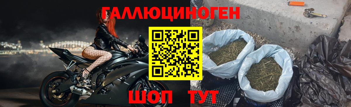 Псилоцибиновые грибы прущие грибы Ставрополь